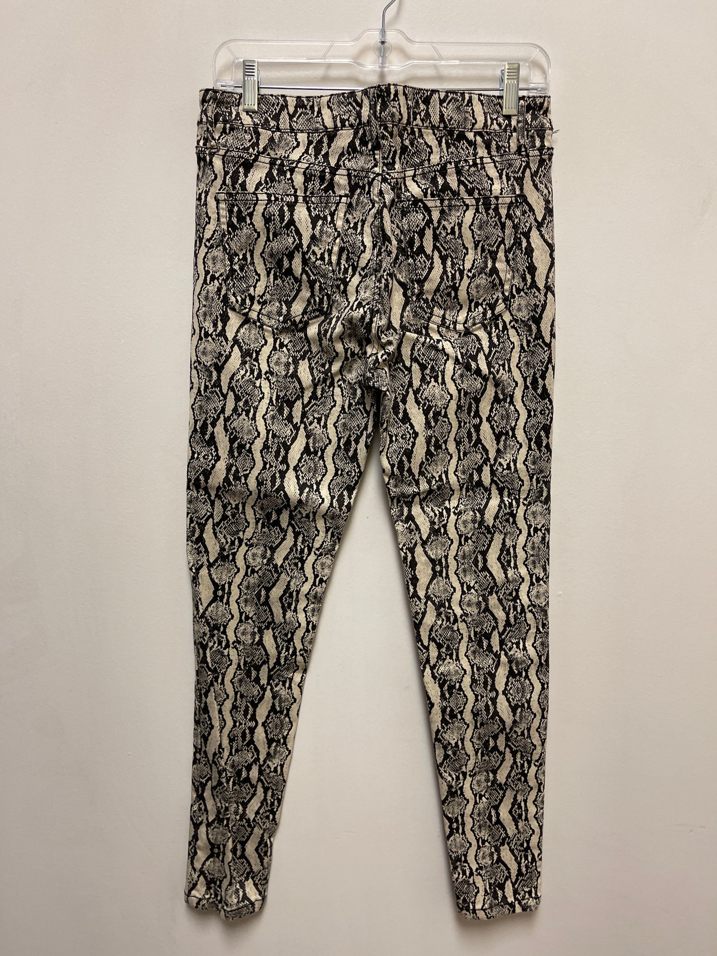 Pants Other By Wild Fable In Snakeskin Print, Size: 6