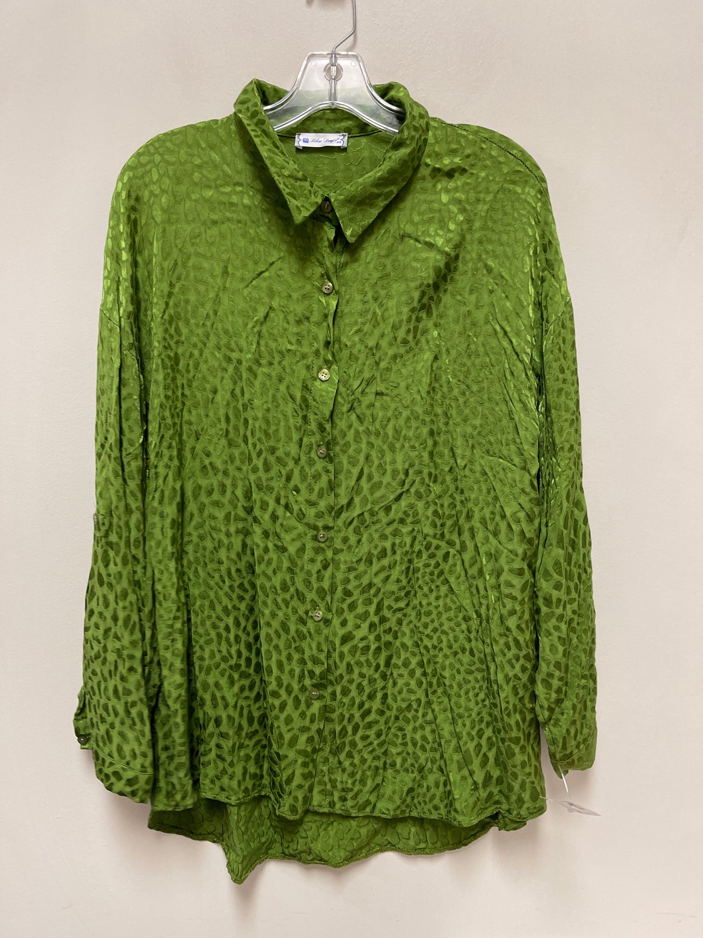 Blouse Long Sleeve By Clothes Mentor In Green, Size: L