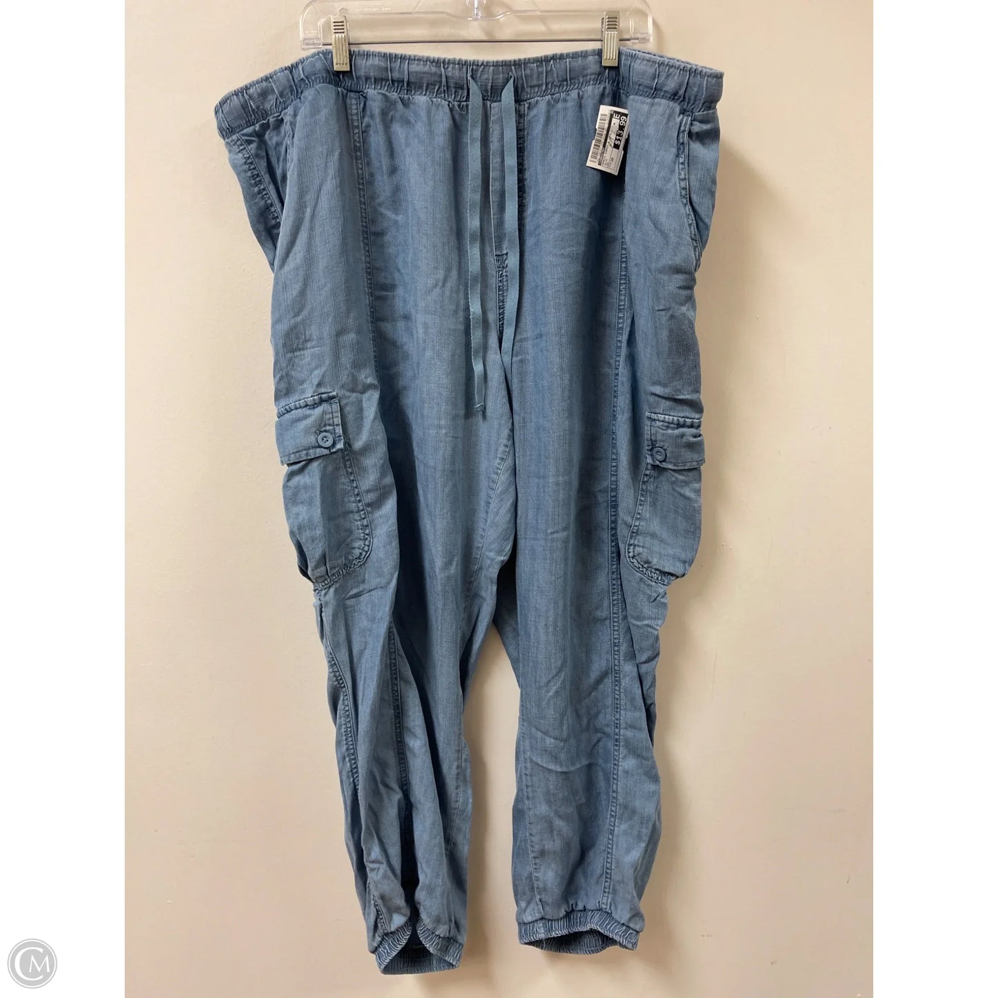Pants Cargo & Utility By Industry In Blue, Size: 20