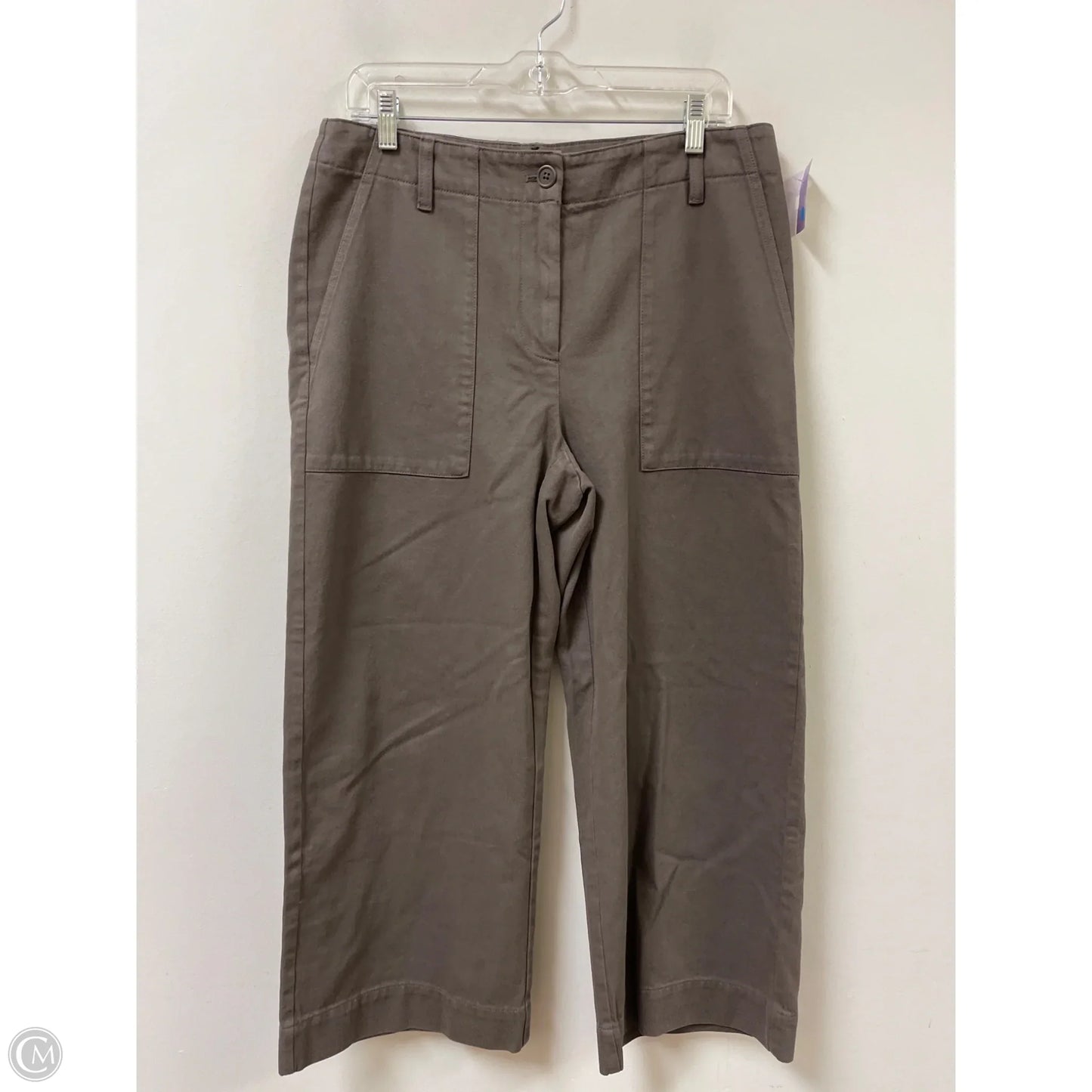 Pants Wide Leg By Eileen Fisher In Bronze, Size: 6