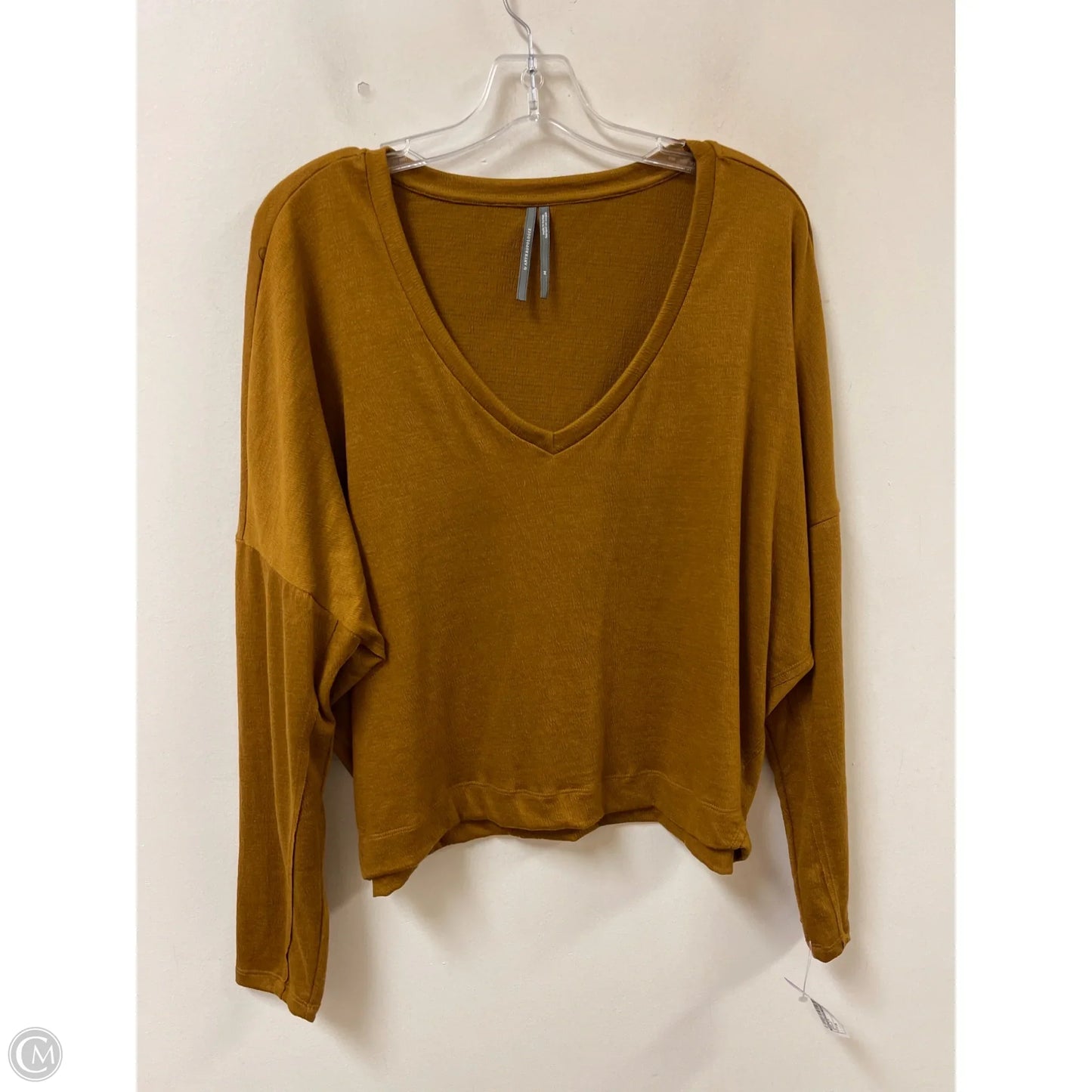 Top Long Sleeve By Anthropologie In Brown, Size: M