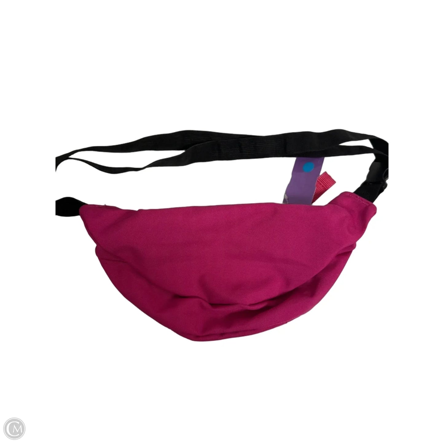 Belt Bag By Jansport, Size: Small