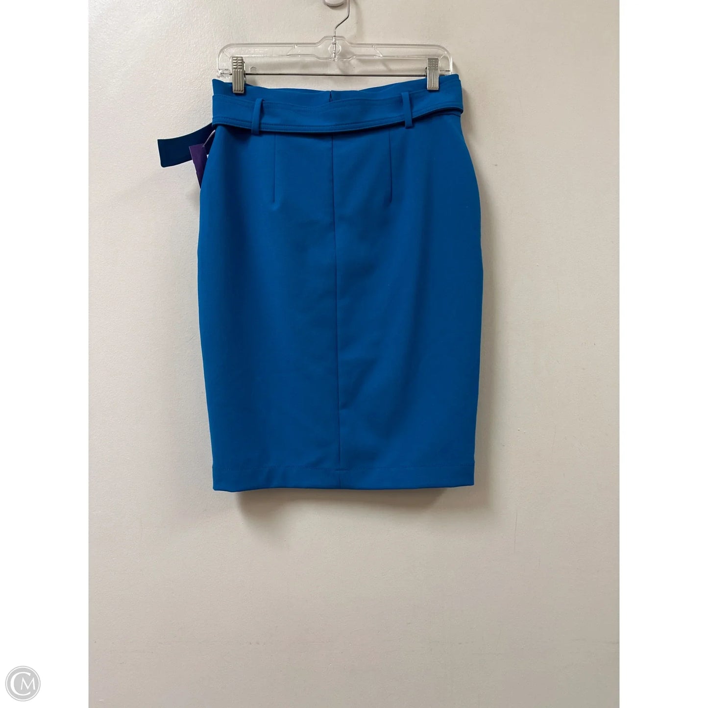Skirt Midi By Ann Taylor In Blue, Size: 4p