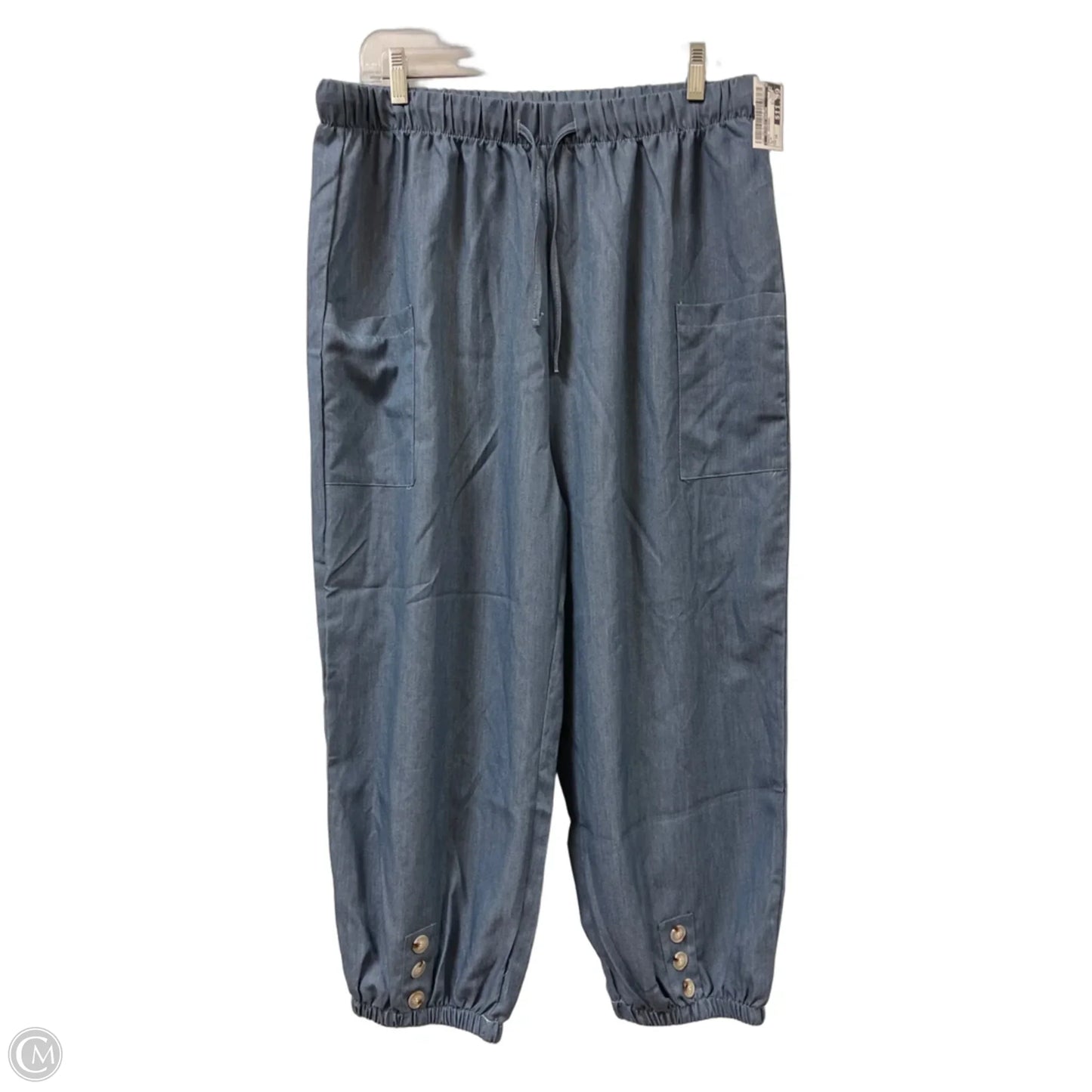 Pants Joggers By Clothes Mentor In Blue, Size: 18