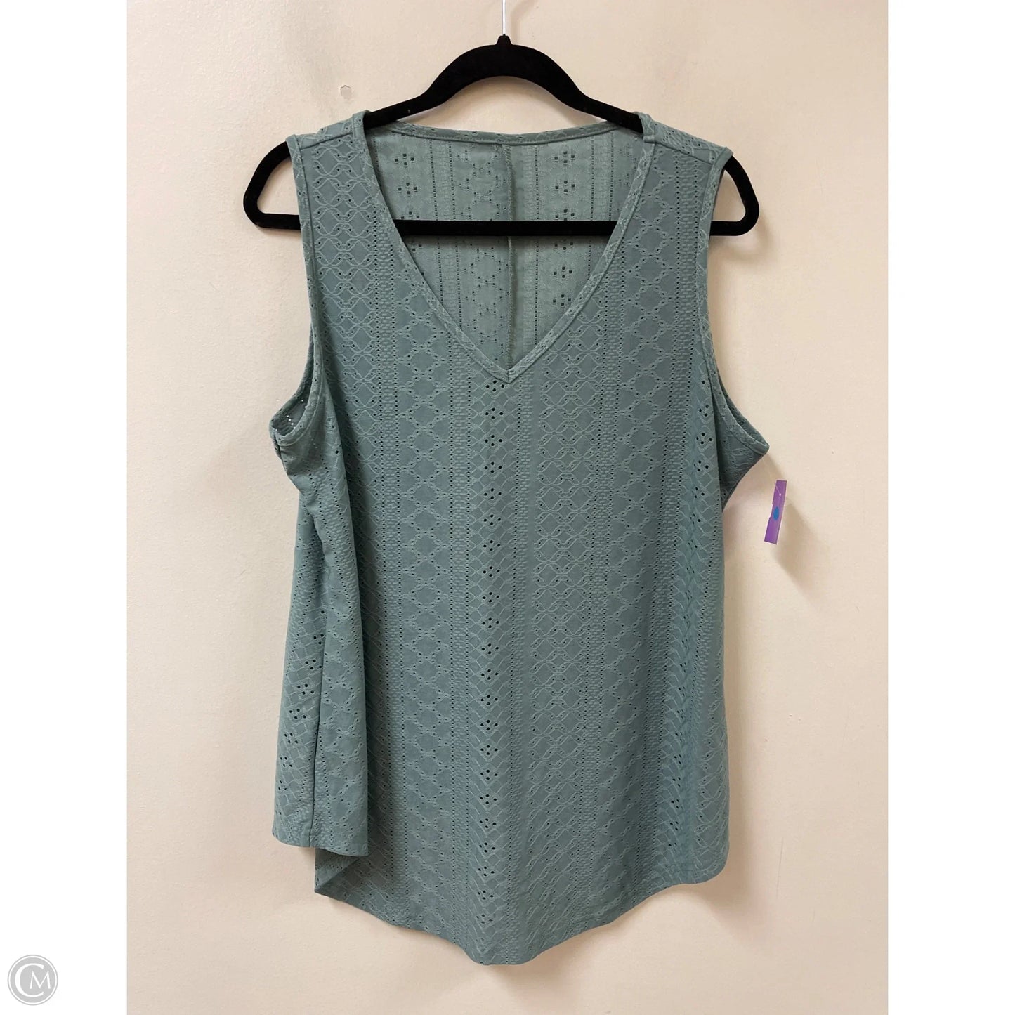 Top Sleeveless By Clothes Mentor In Blue, Size: 1x