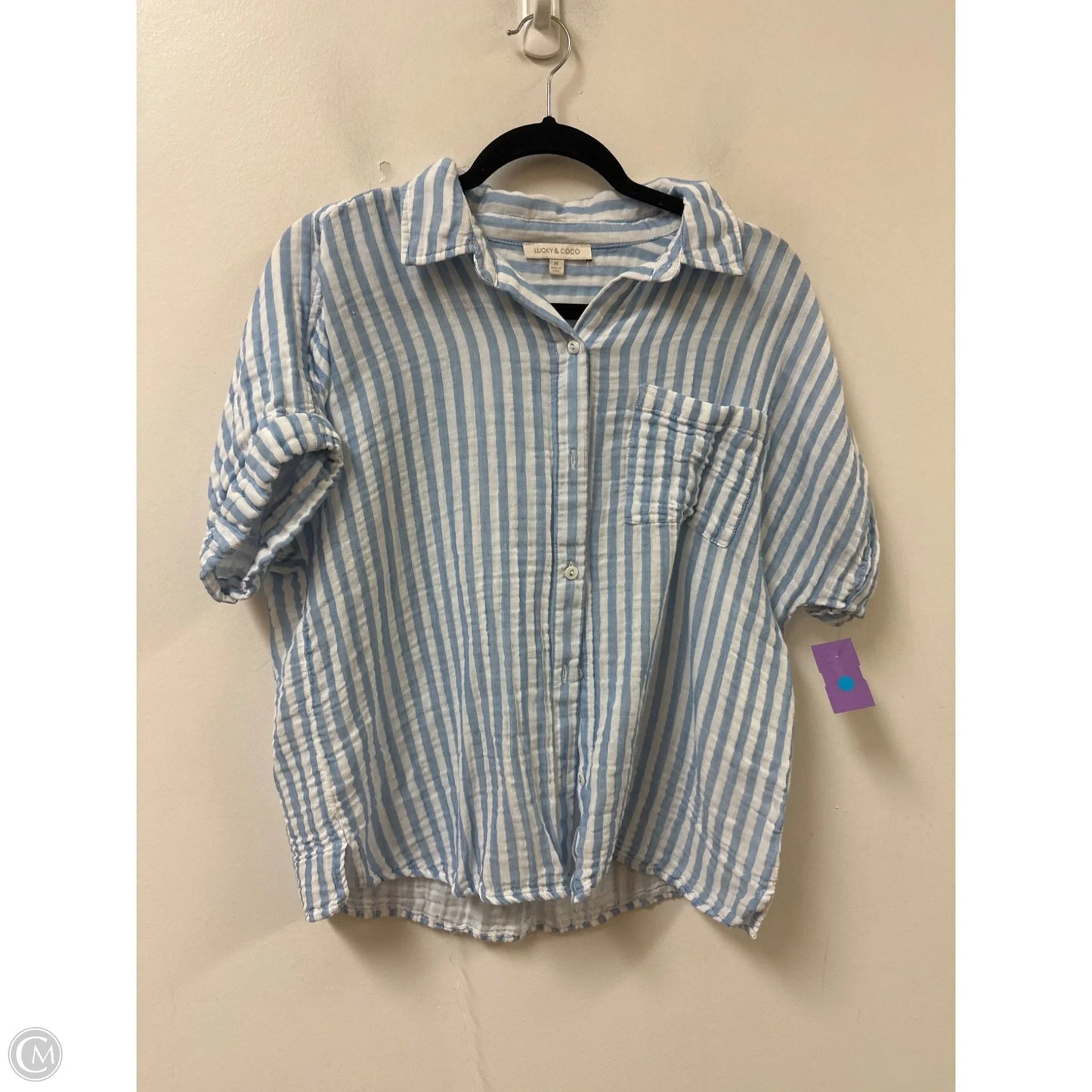 Blouse Short Sleeve By Clothes Mentor In Blue, Size: M
