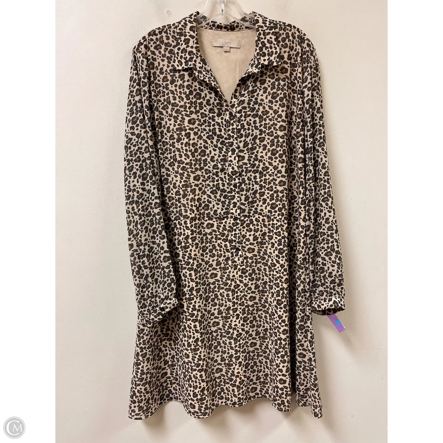 Dress Casual Short By Loft In Animal Print, Size: Xl