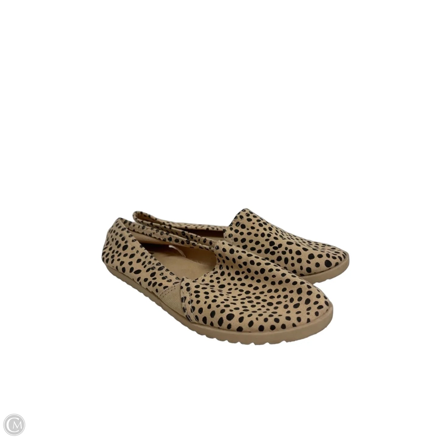 Shoes Flats By Report In Animal Print, Size: 6.5