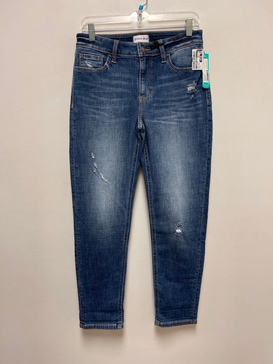 Blue Denim Jeans Skinny Clothes Mentor, Size 8