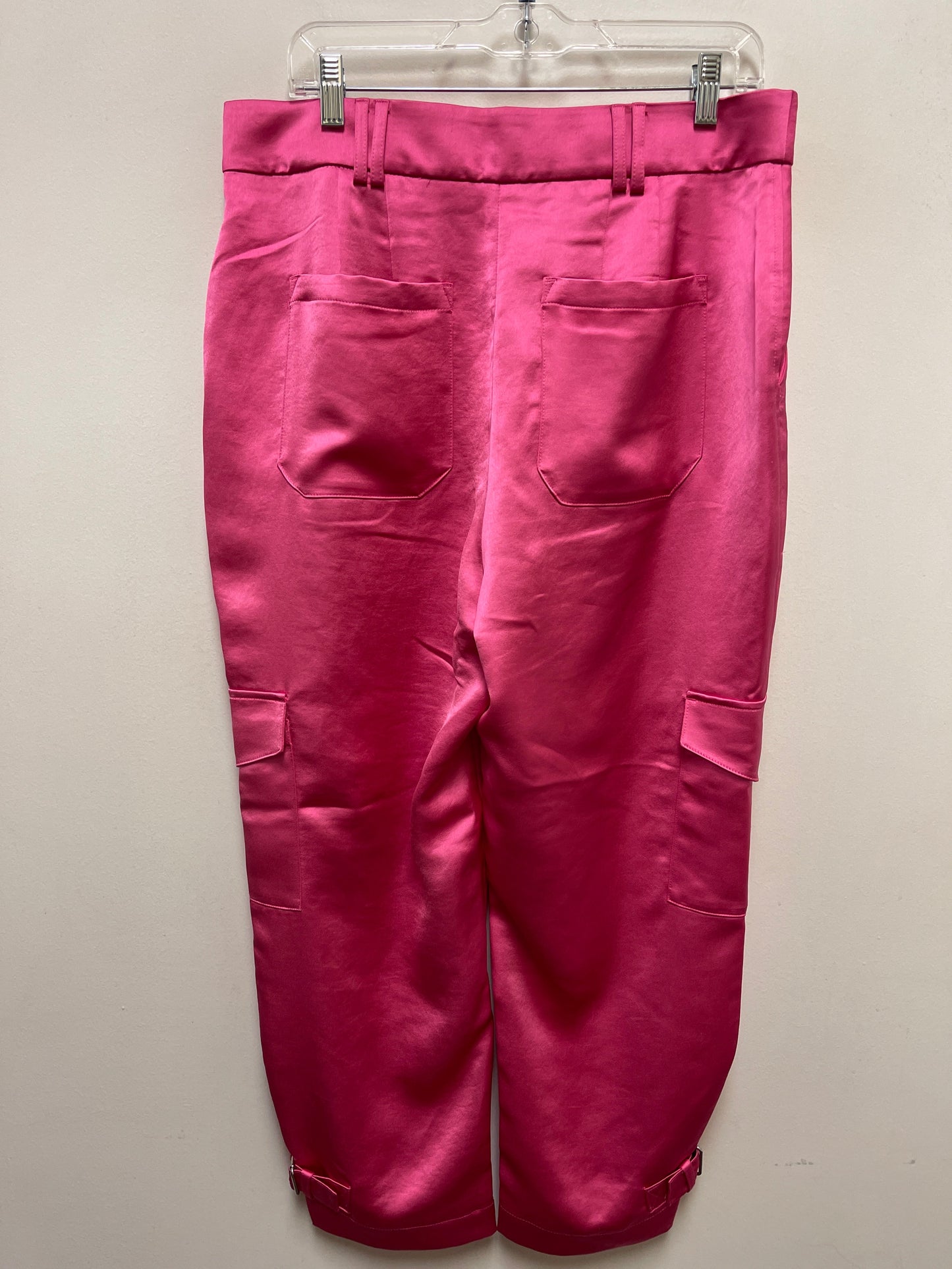 Pants Other By Express In Pink, Size: 12