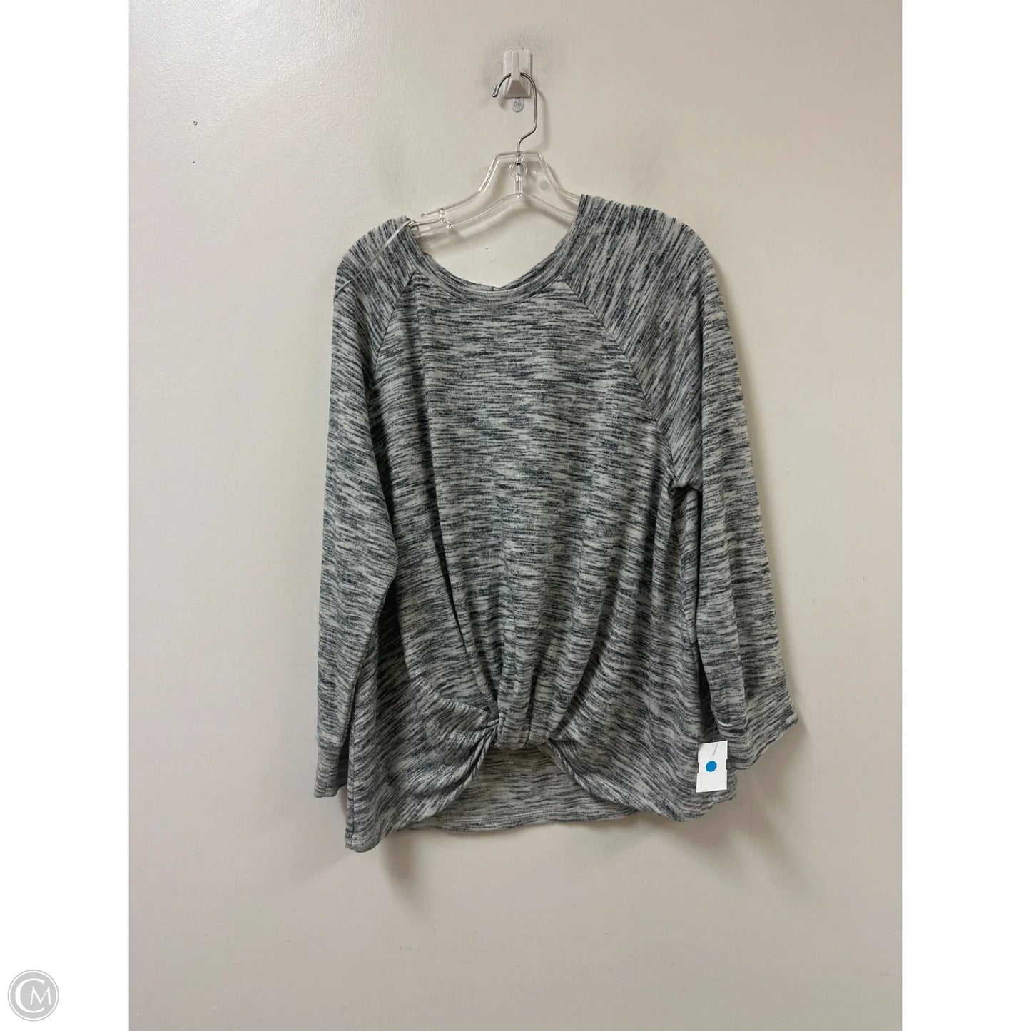 Top Long Sleeve By Time And Tru In Grey, Size: 3x