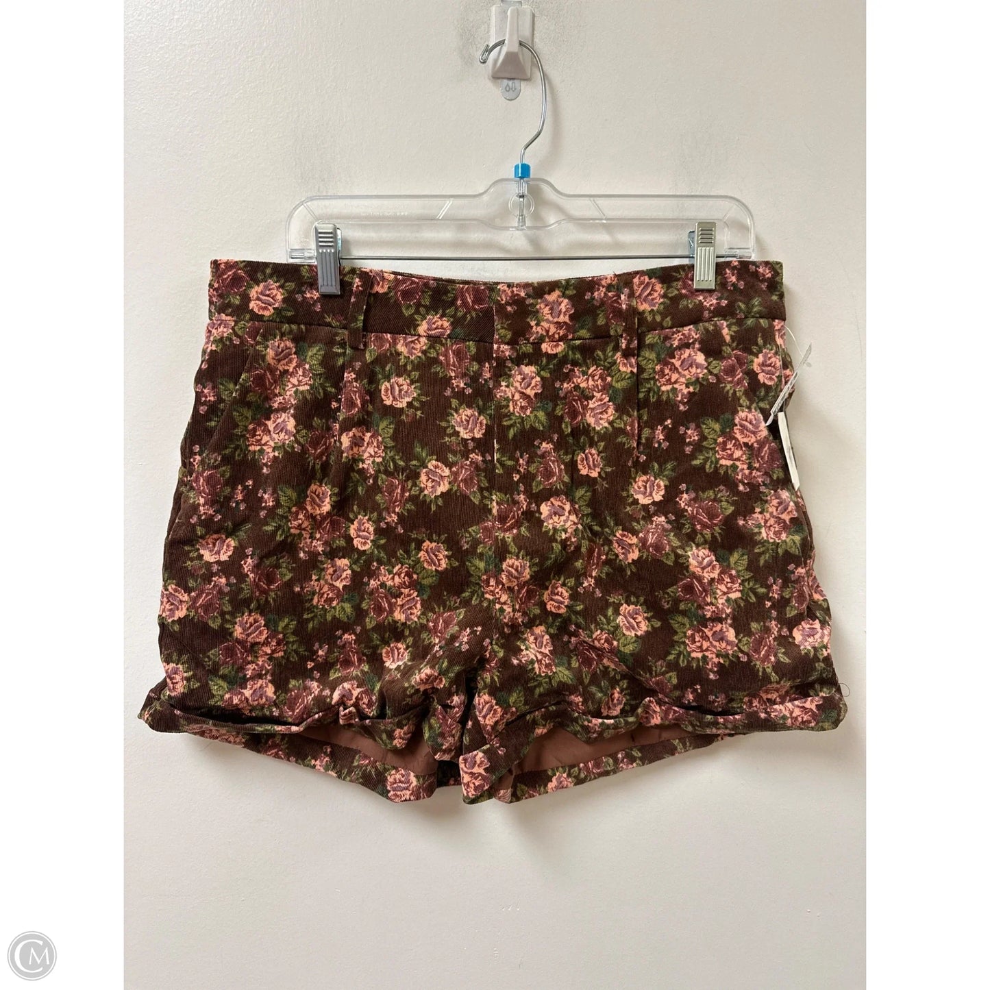Shorts By Altard State In Brown, Size: 14