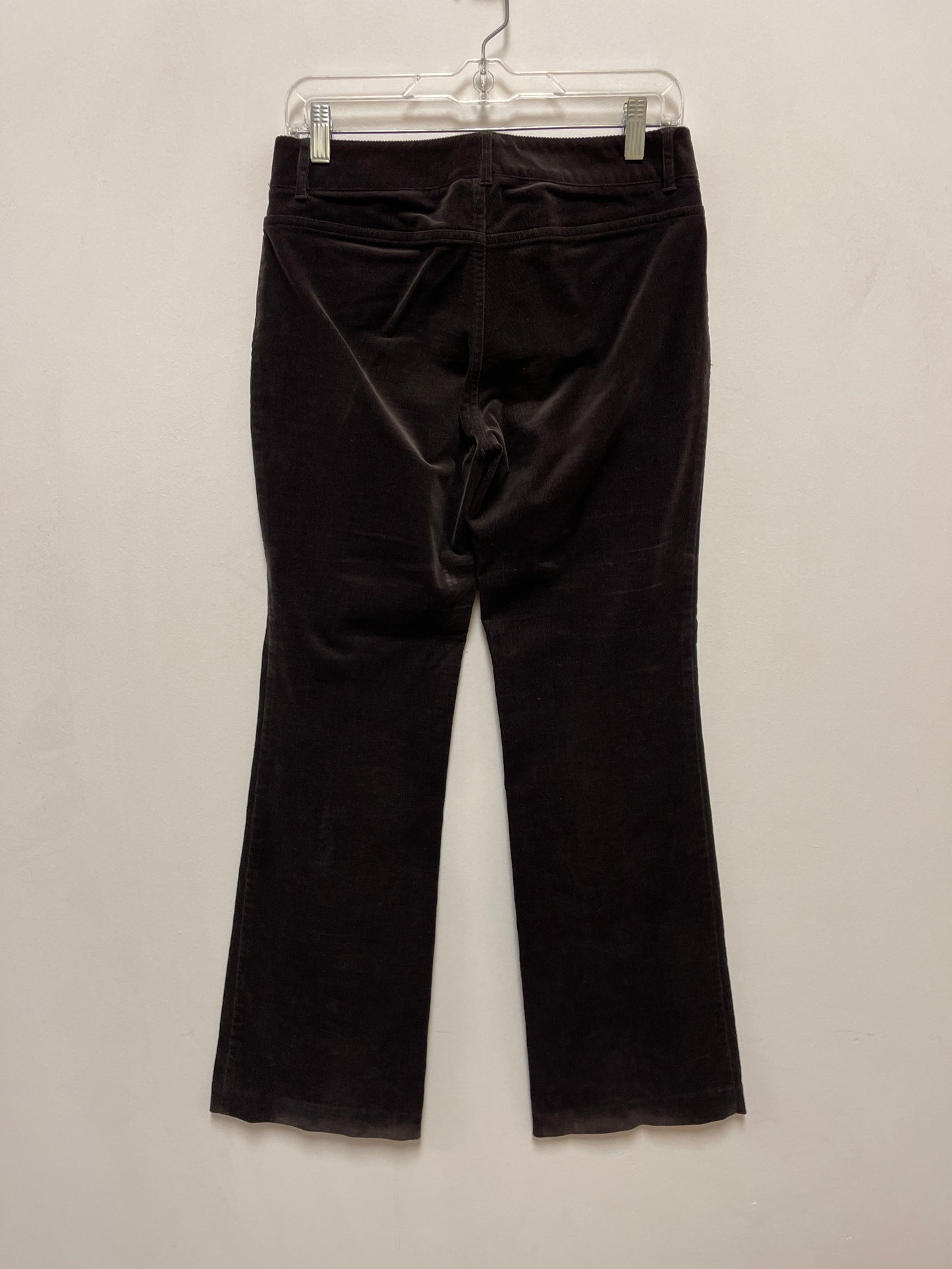 Pants Other By Gianni Bini In Brown, Size: 2