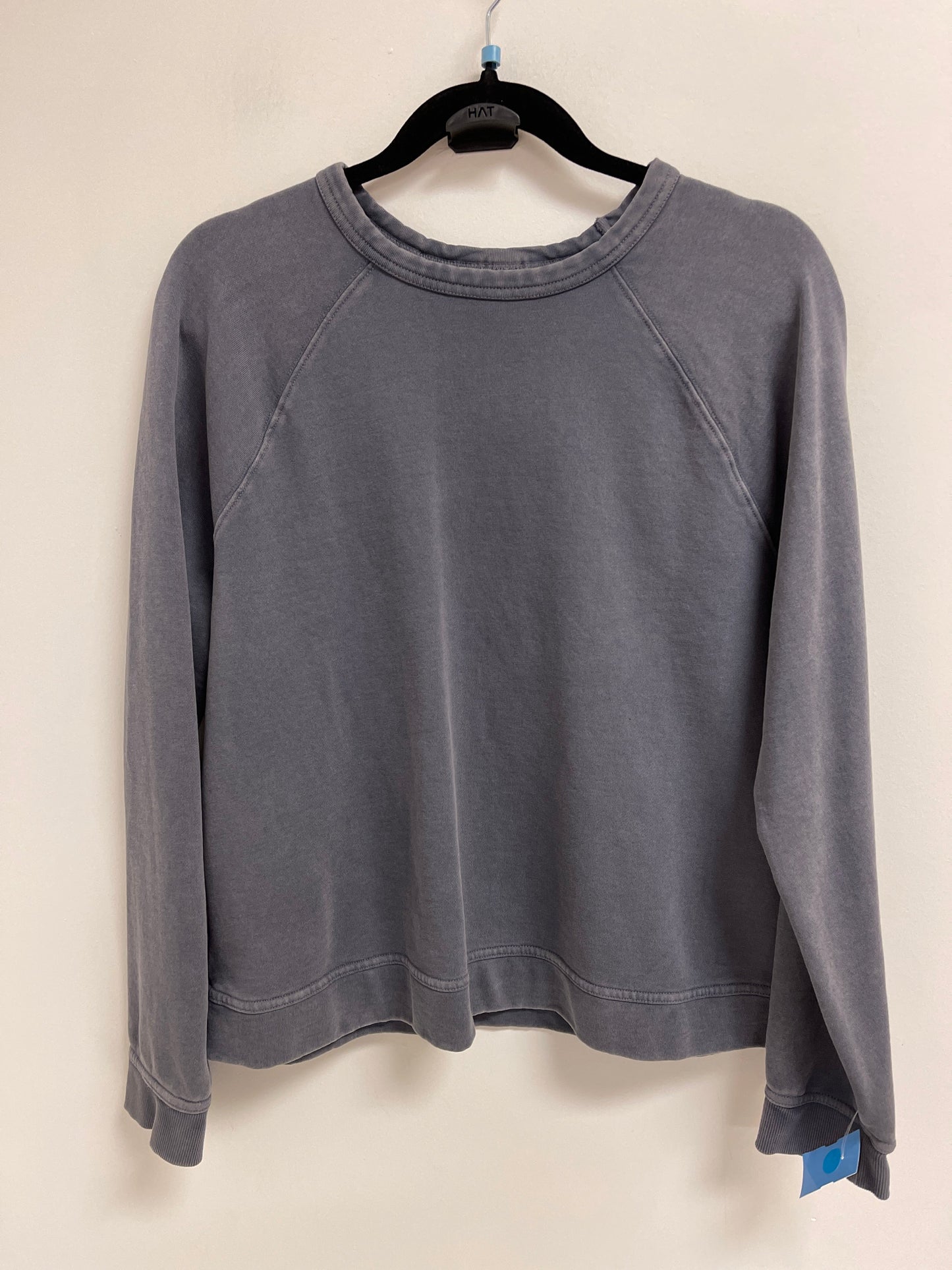 Sweatshirt Crewneck By Universal Thread In Grey, Size: L