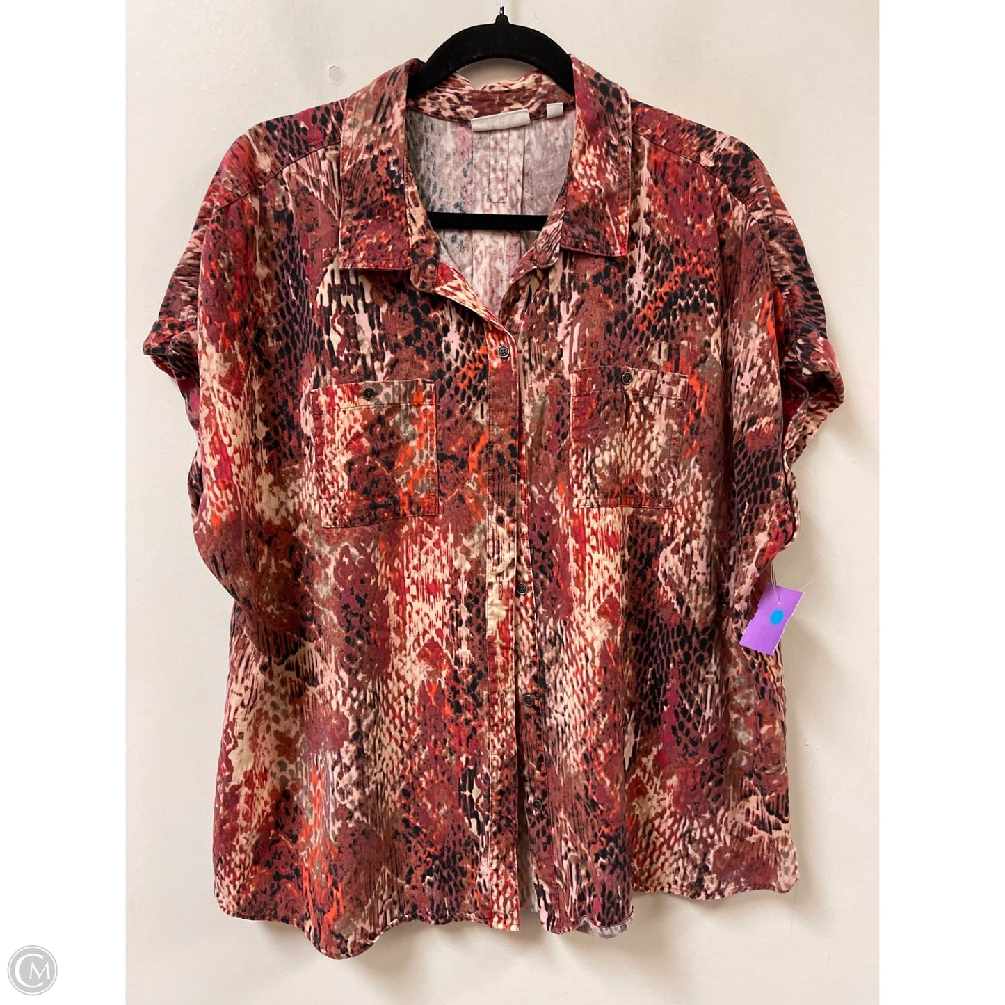 Blouse Short Sleeve By West Bound In Snakeskin Print, Size: Xl