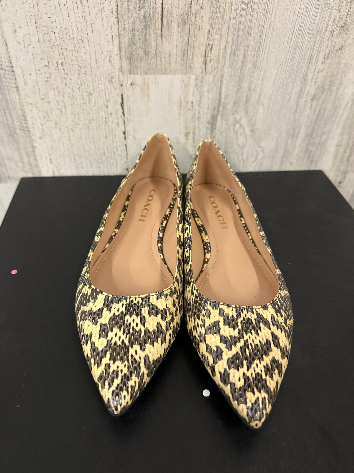 Animal Print Shoes Flats Coach, Size 6.5