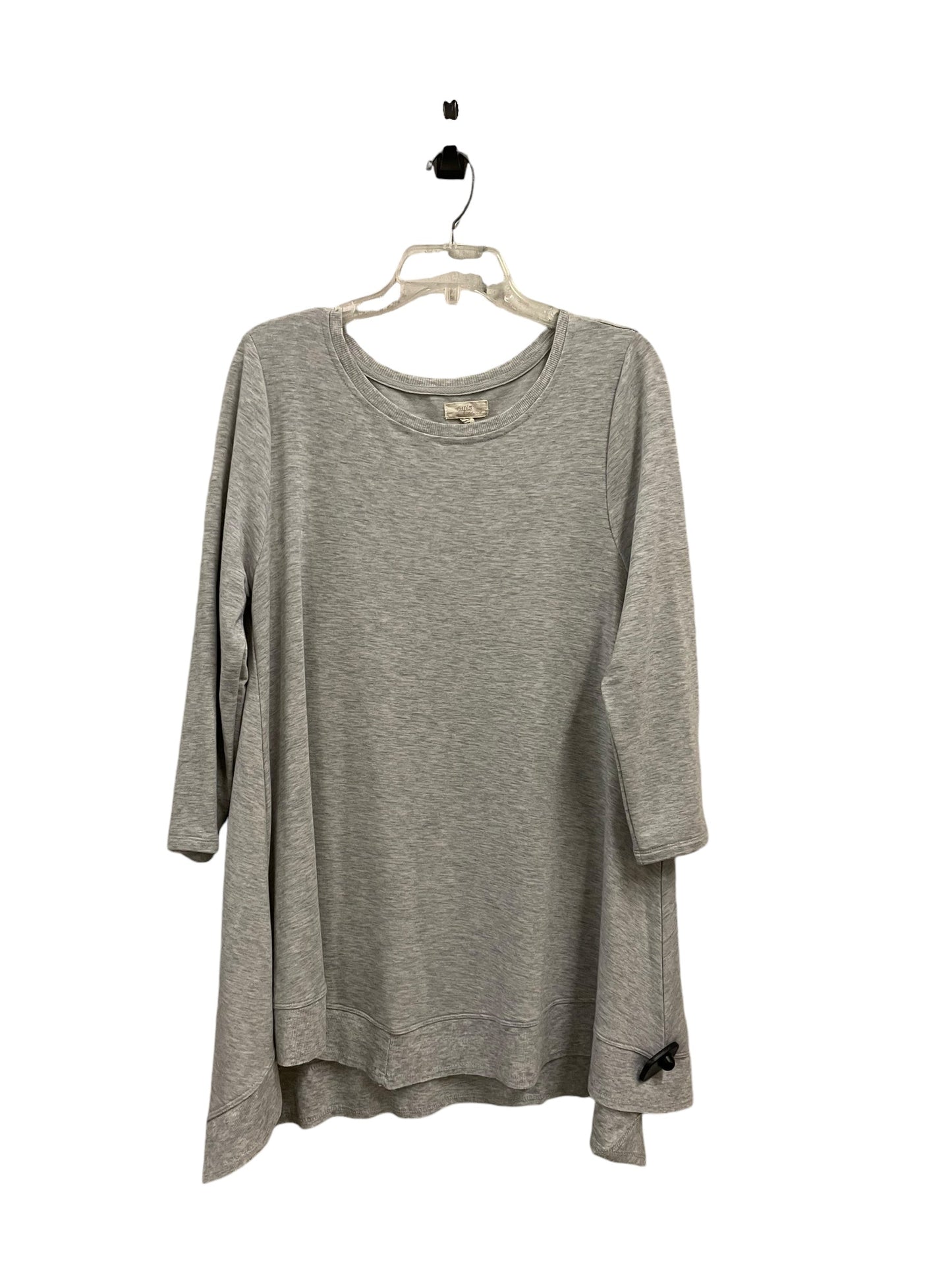 Top Long Sleeve By Cupio In Grey, Size: Xl