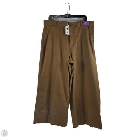 Pants Wide Leg By Pilcro In Brown, Size: 18