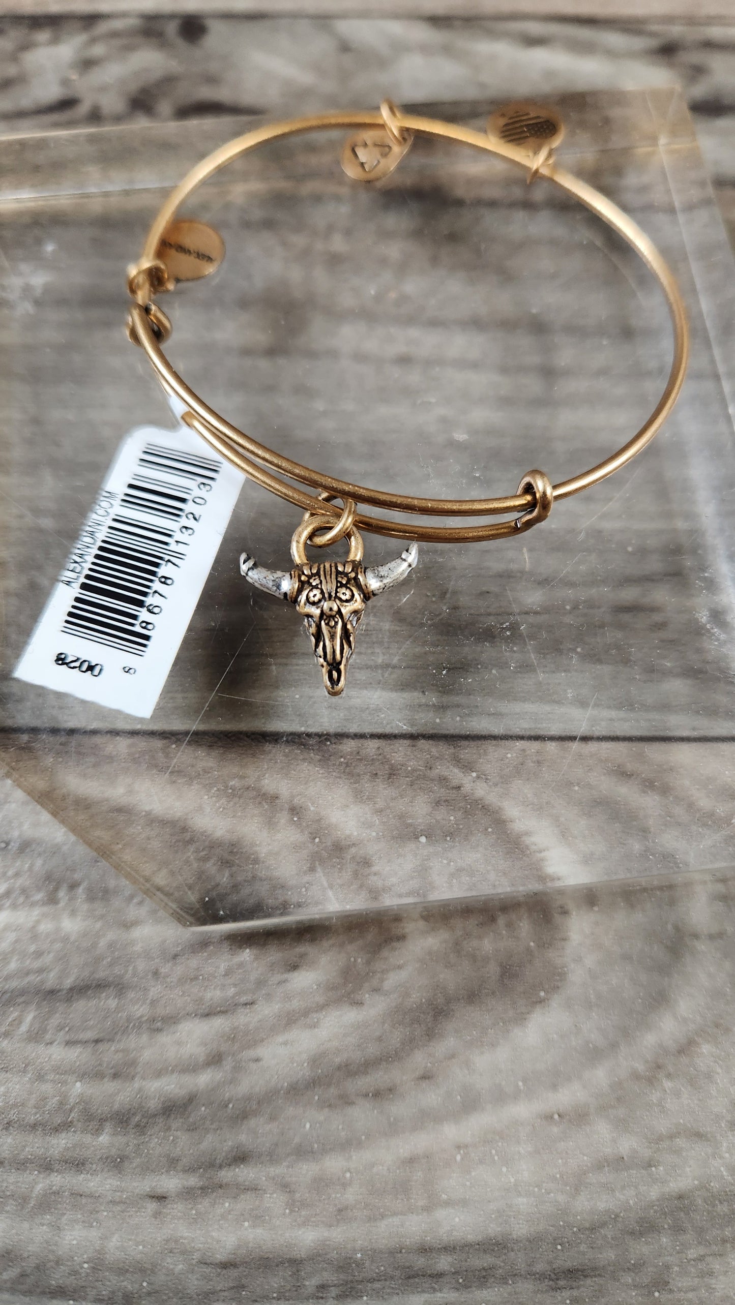 Bracelet Bangle By Alex And Ani