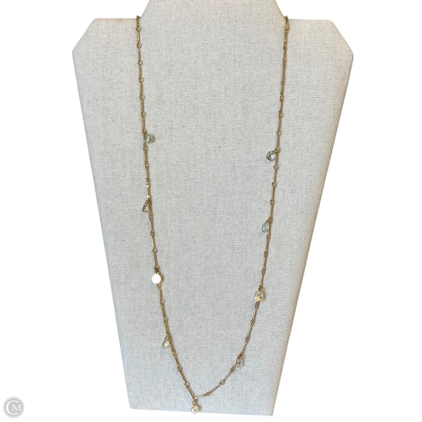 Necklace Chain By Loft