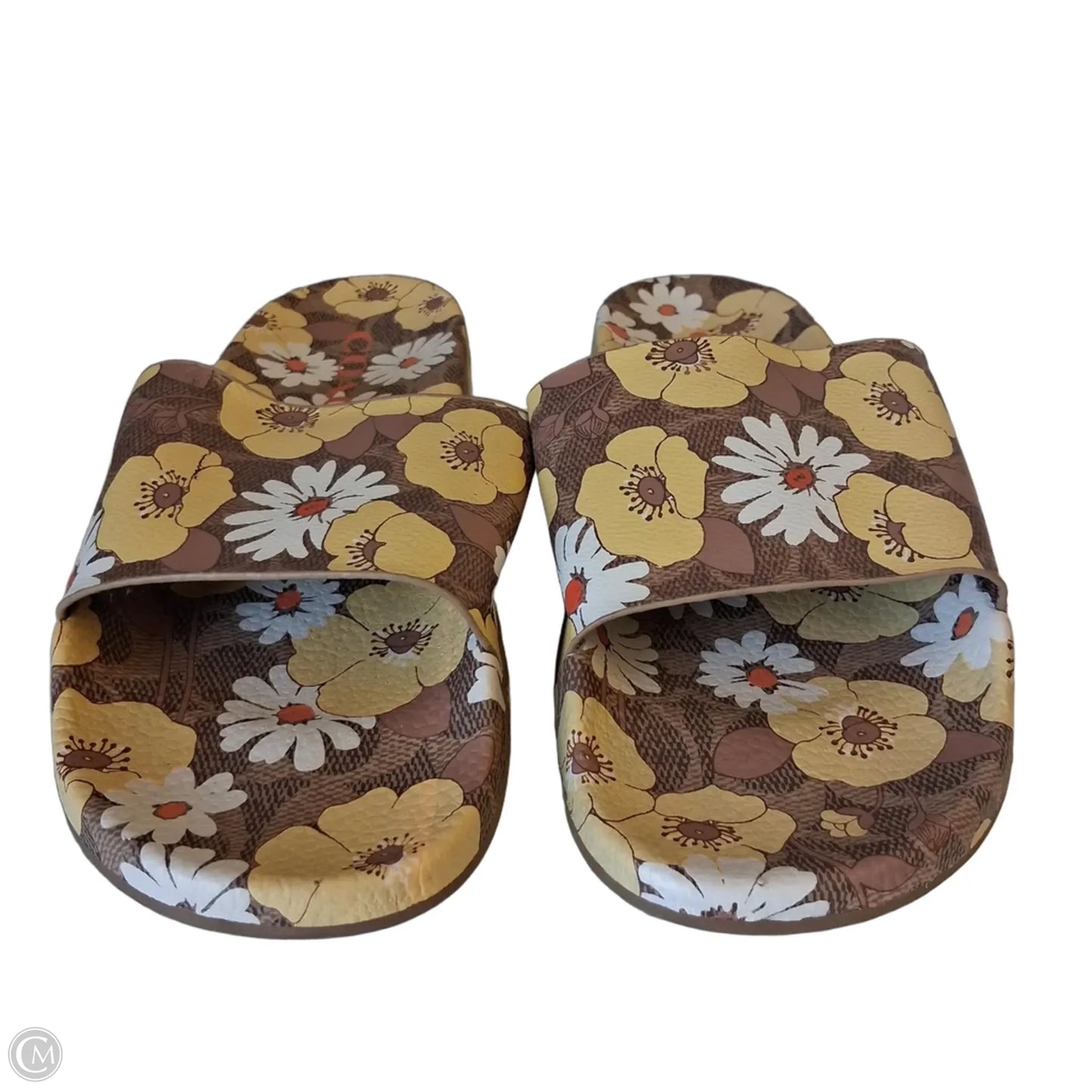 Sandals Designer By Coach In Brown & Yellow, Size: 8