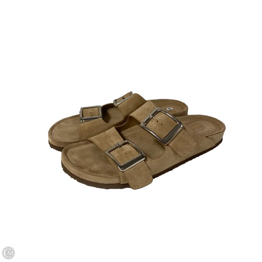 Sandals Flats By Madden Girl In Taupe, Size: 8.5
