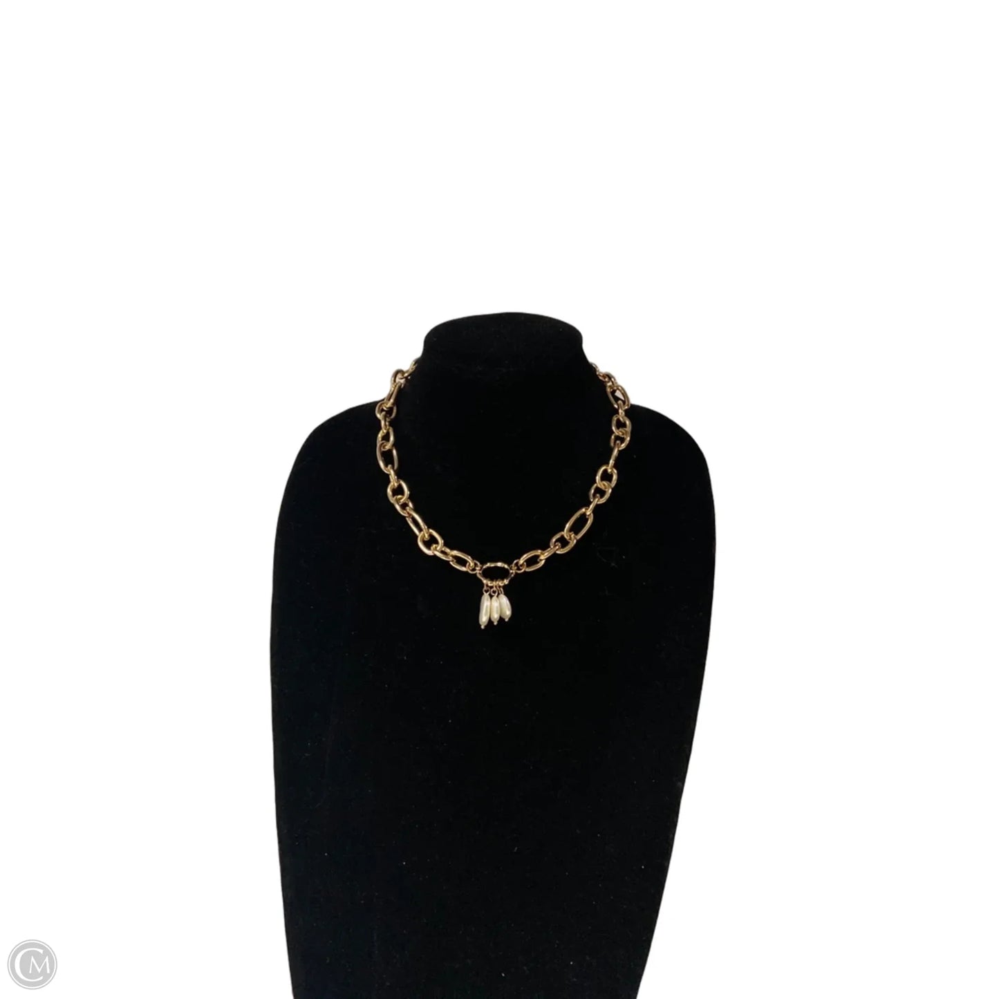 Necklace Chain By Clothes Mentor