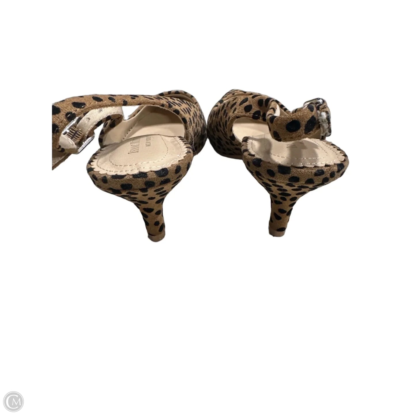 Shoes Heels Kitten By Isaac Mizrahi In Leopard Print, Size: 7