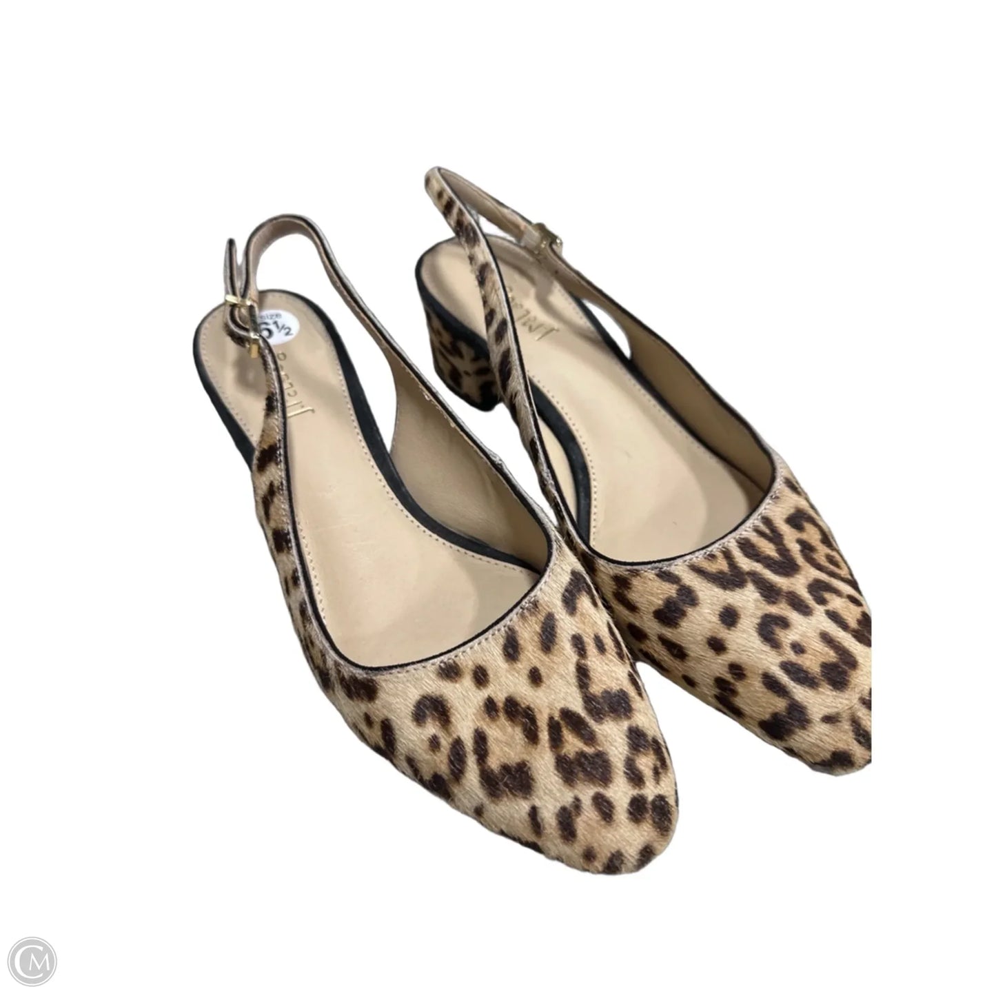 Shoes Heels Block By J Mclaughlin In Leopard Print, Size: 6.5