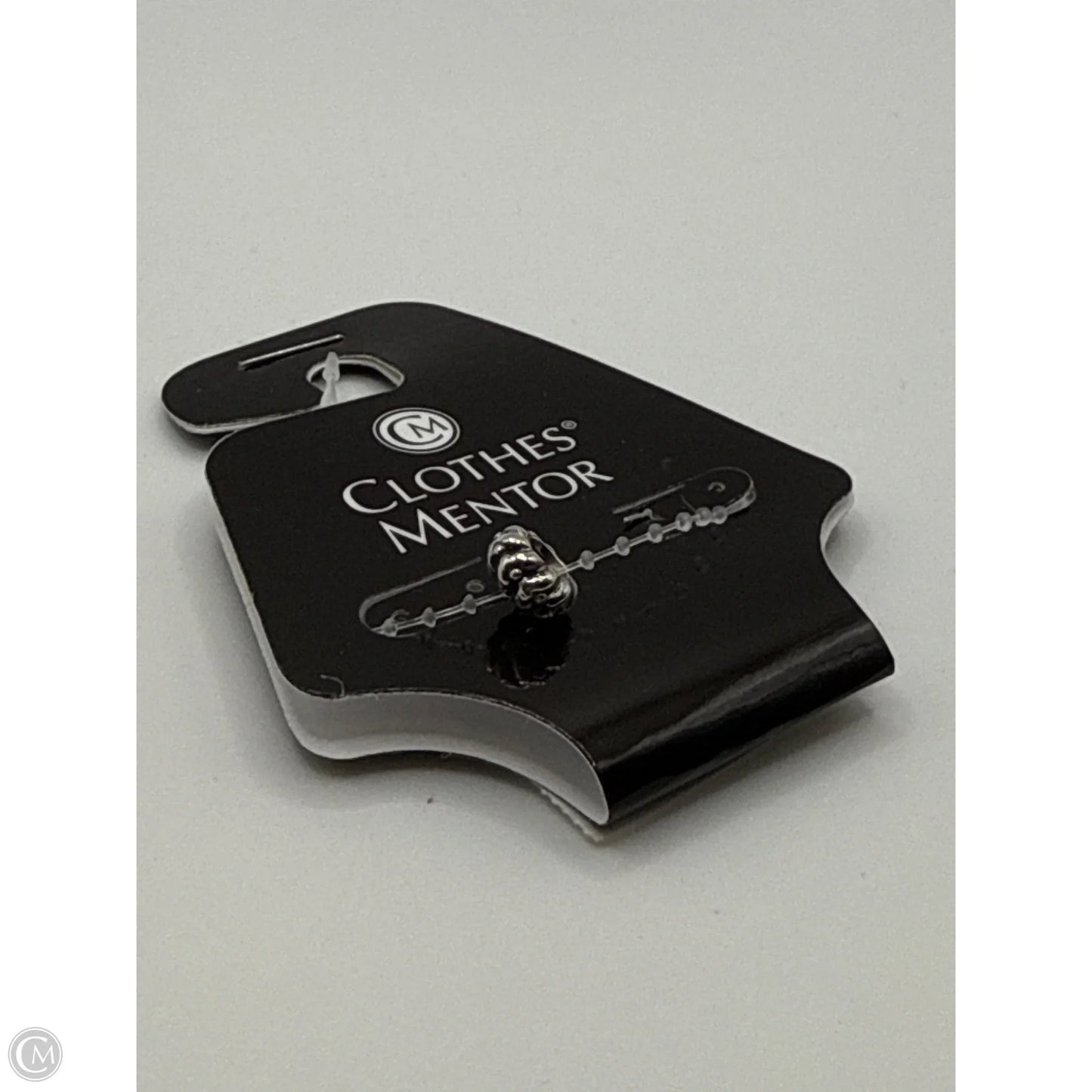 Accessory Tag By Pandora