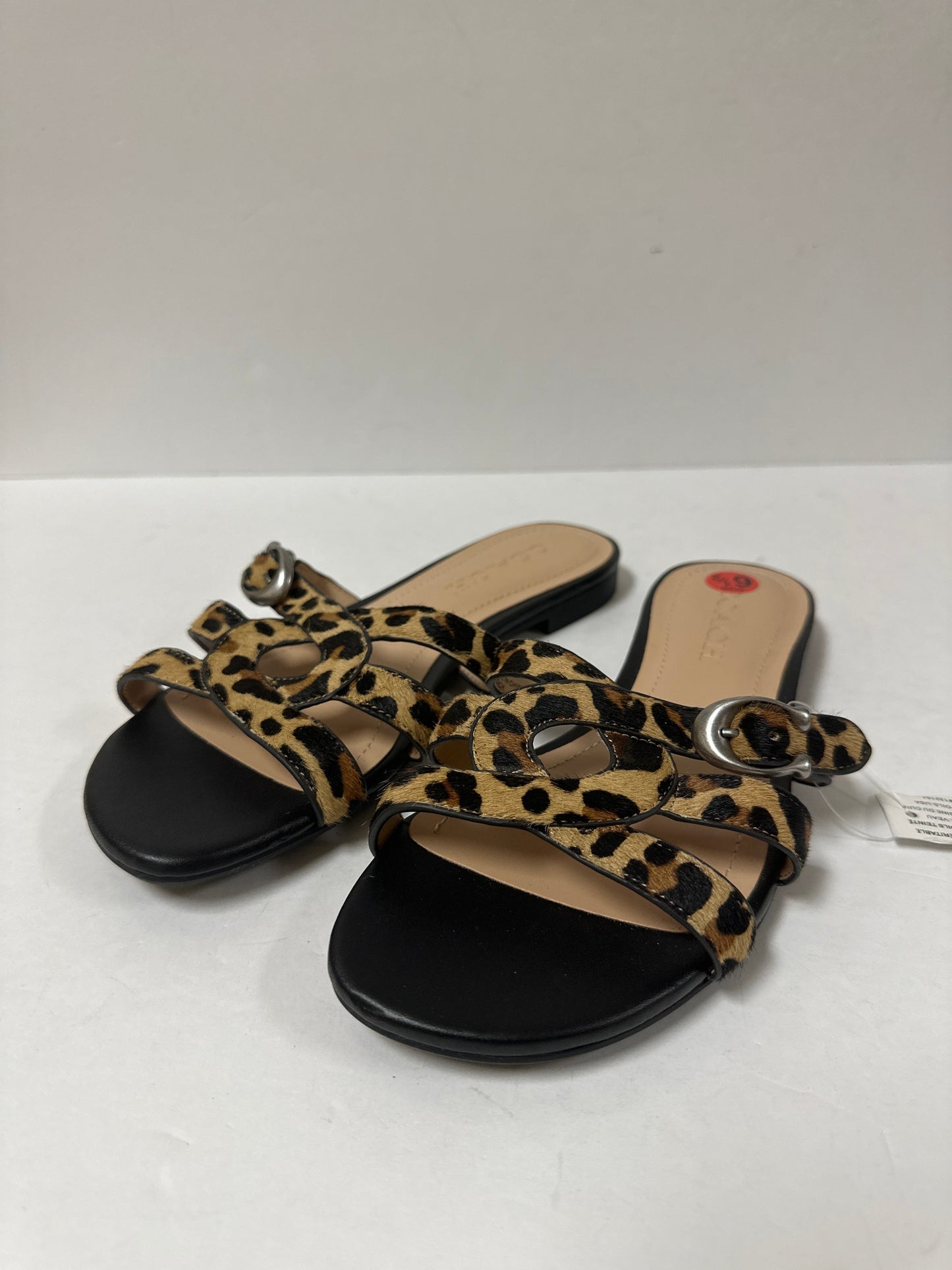 Sandals Designer By Coach  Size: 6.5