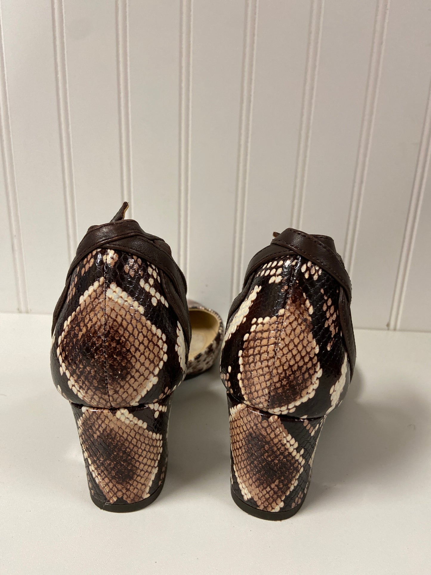 Shoes Heels Block By Alex Marie In Snakeskin Print, Size: 6.5