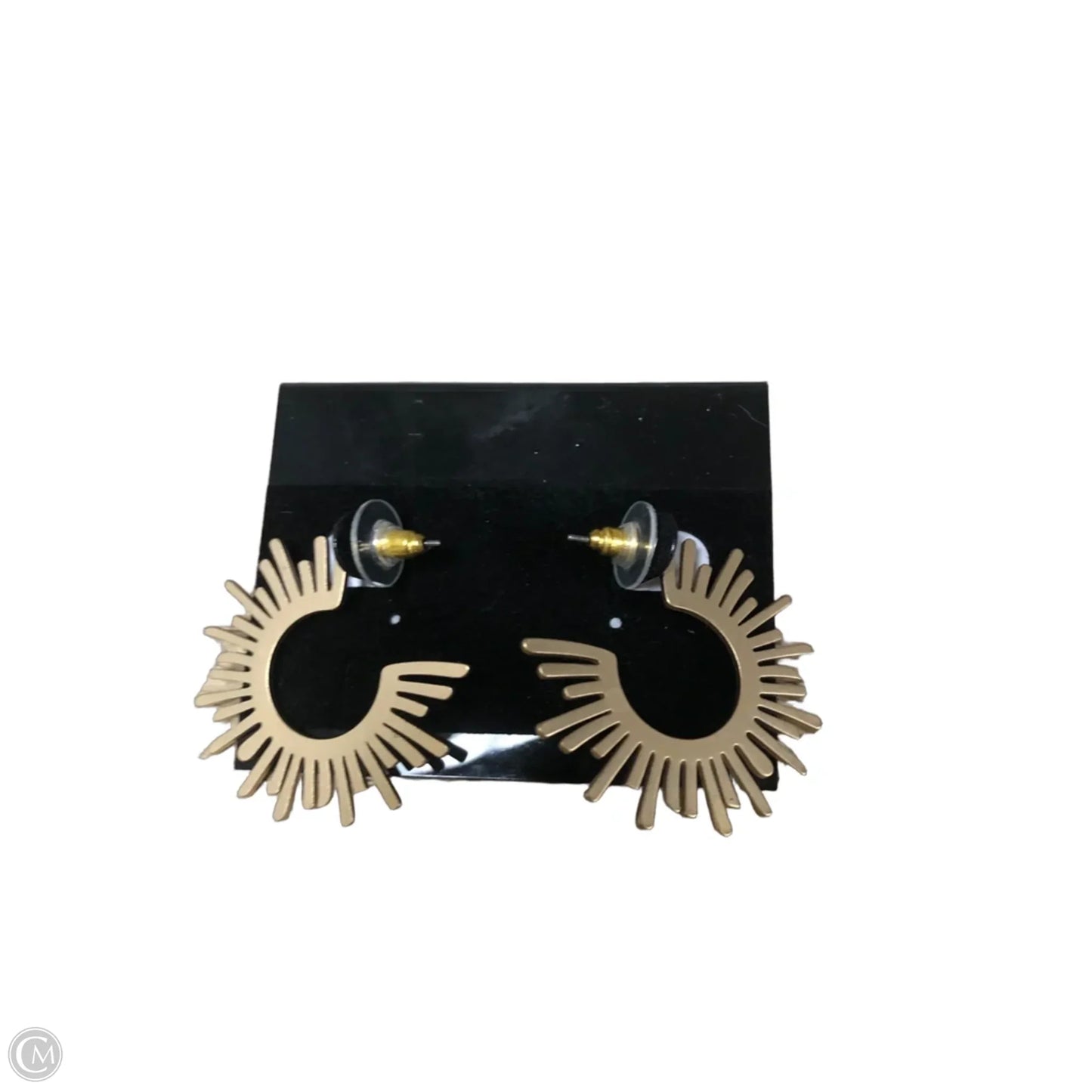 Earrings Dangle/drop By Clothes Mentor
