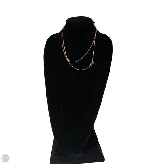 Necklace Chain By Clothes Mentor, Size: 02 Piece Set