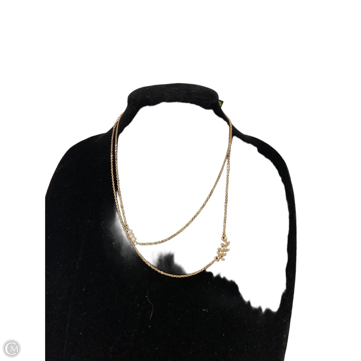 Necklace Chain By Clothes Mentor, Size: 02 Piece Set