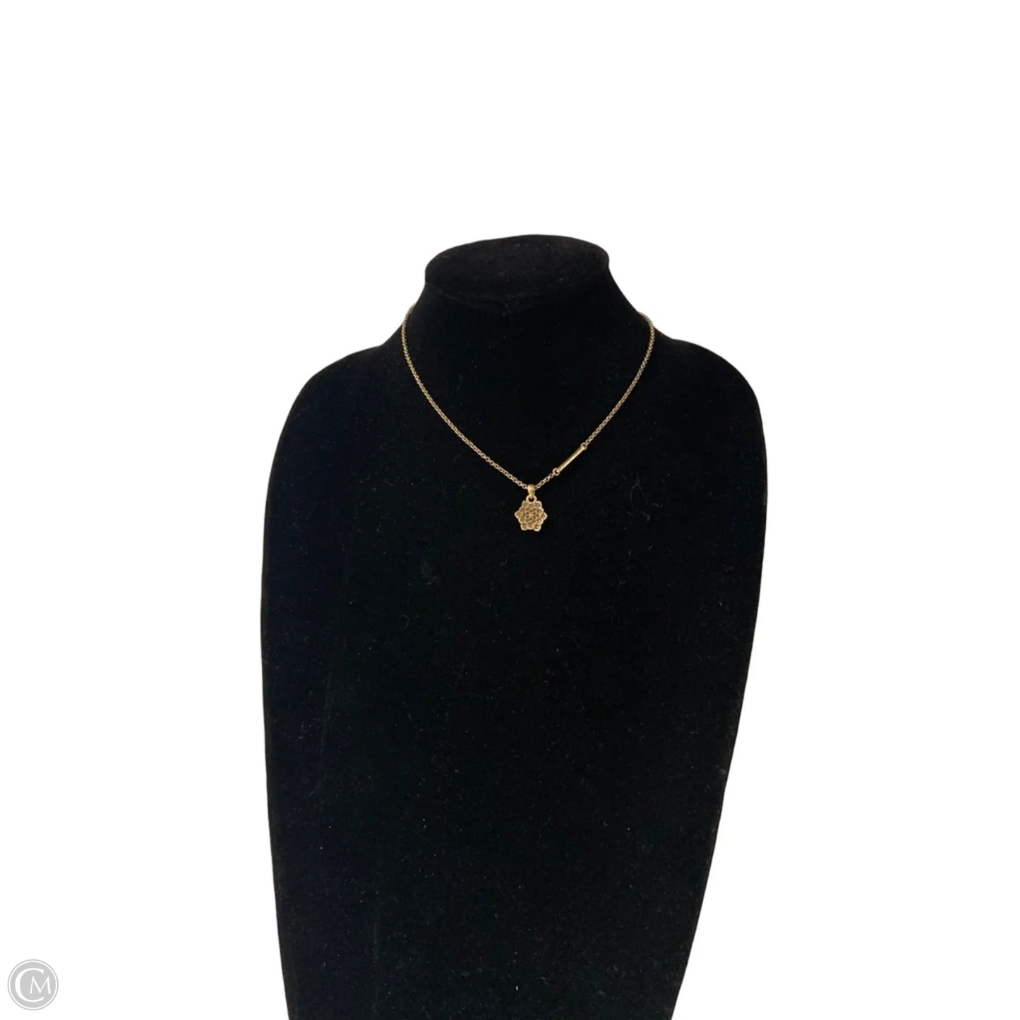 Necklace Chain By Clothes Mentor