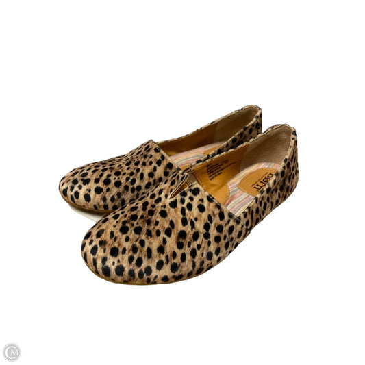 Shoes Flats By Born In Animal Print, Size: 6