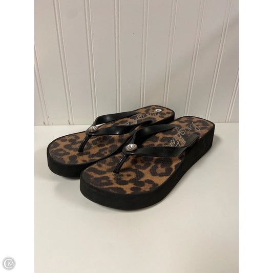 Sandals Flip Flops By Brighton In Animal Print, Size: 9