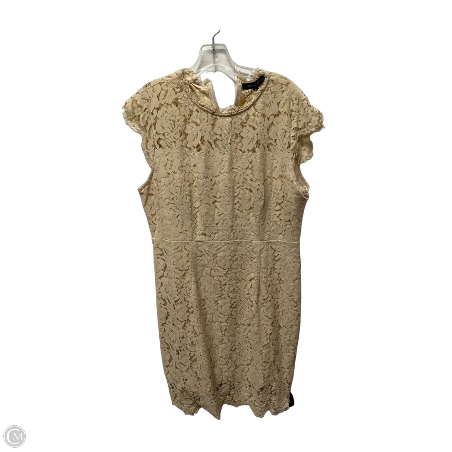 Dress Casual Midi By Merokeety In Cream, Size: Xl