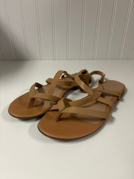 Tan Sandals Flats Chinese Laundry, Size 6