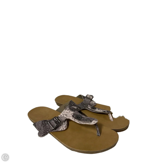 Sandals Flip Flops By Blowfish In Snakeskin Print, Size: 9.5
