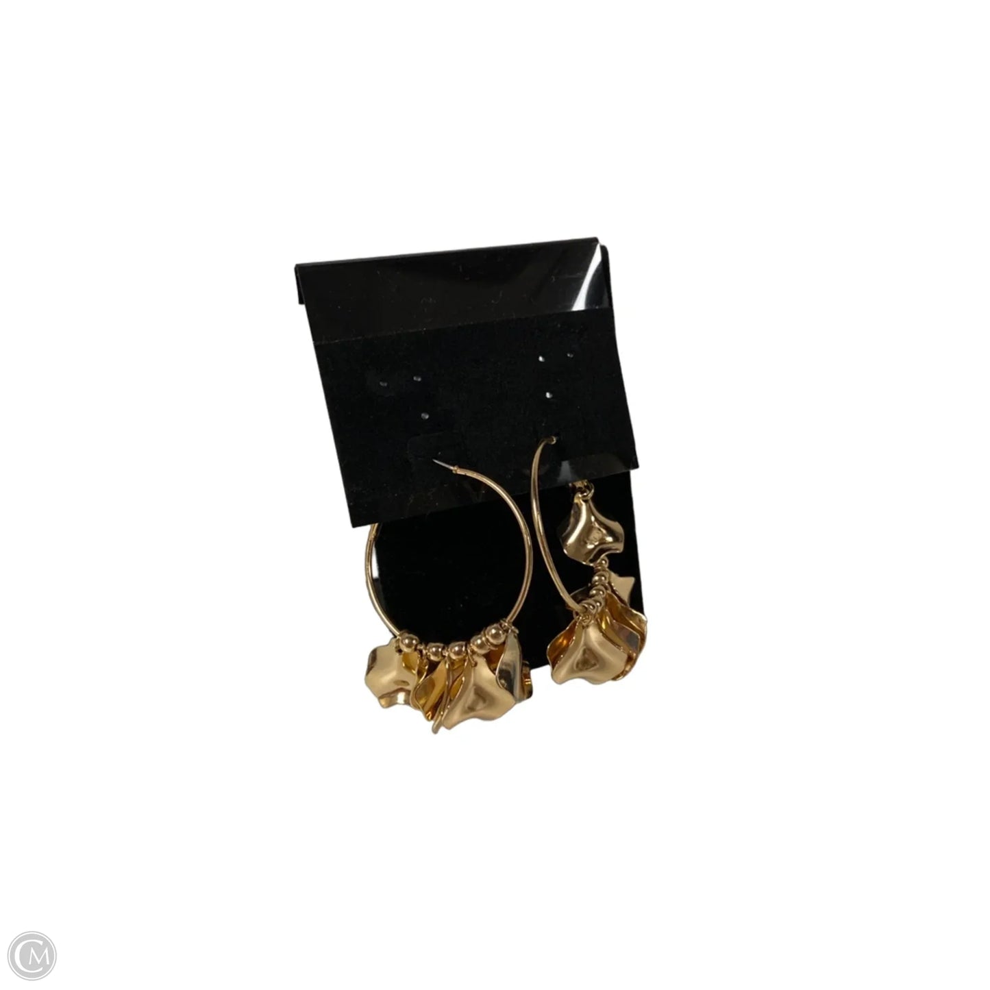 Earrings Hoop By Clothes Mentor, Size: 1