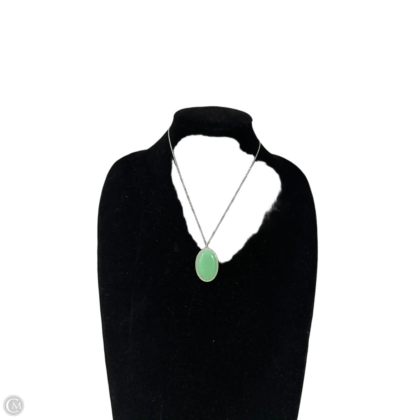 Necklace Pendant By Clothes Mentor, Size: 1
