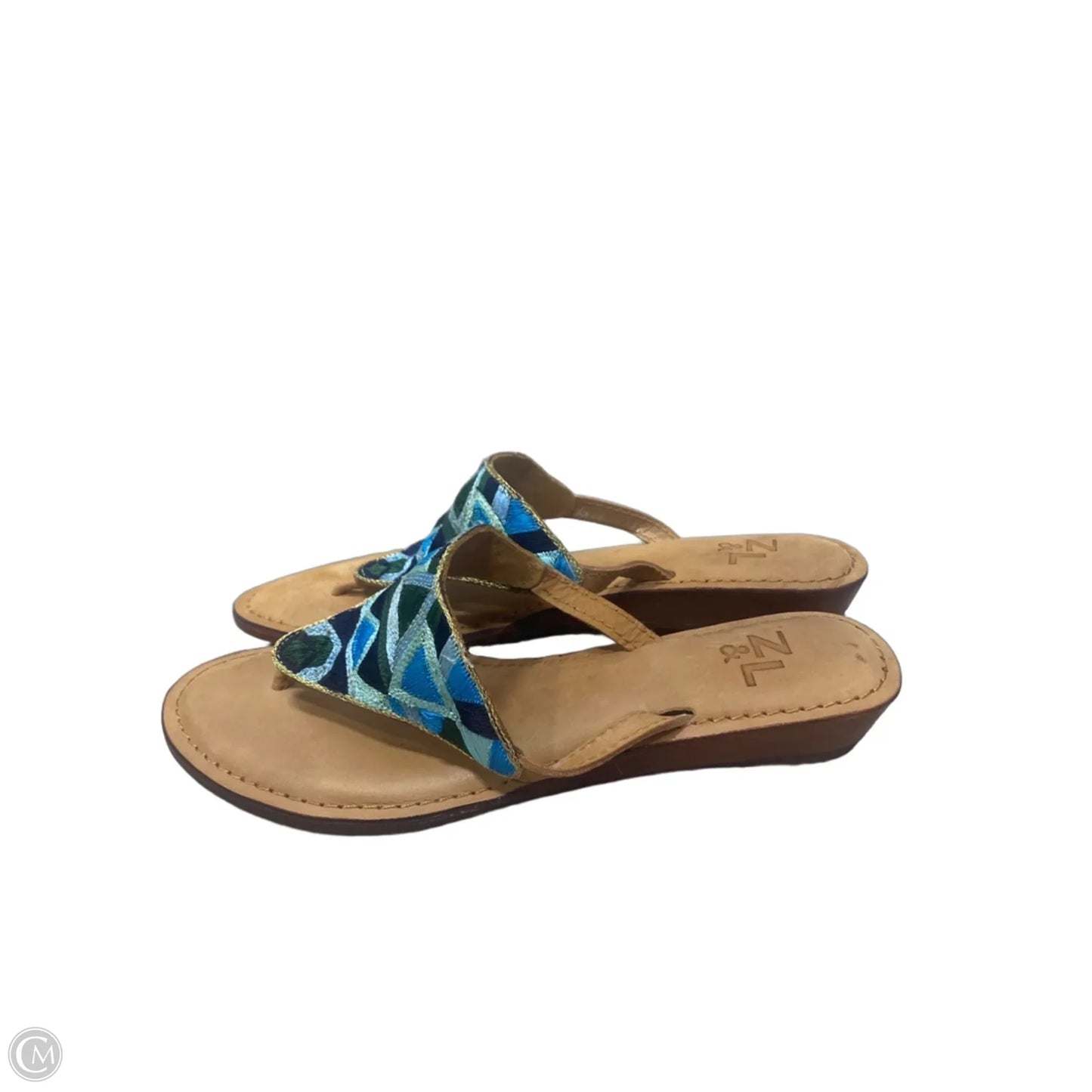 Sandals Flip Flops By Clothes Mentor In Blue & Green, Size: 9.5