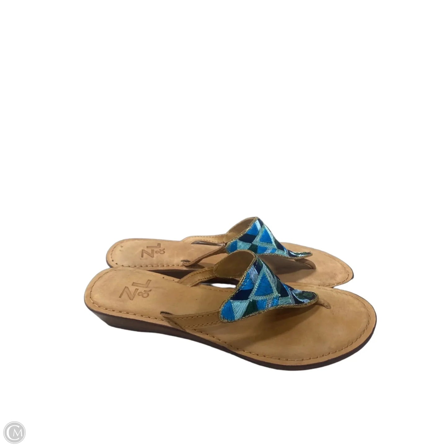 Sandals Flip Flops By Clothes Mentor In Blue & Green, Size: 9.5