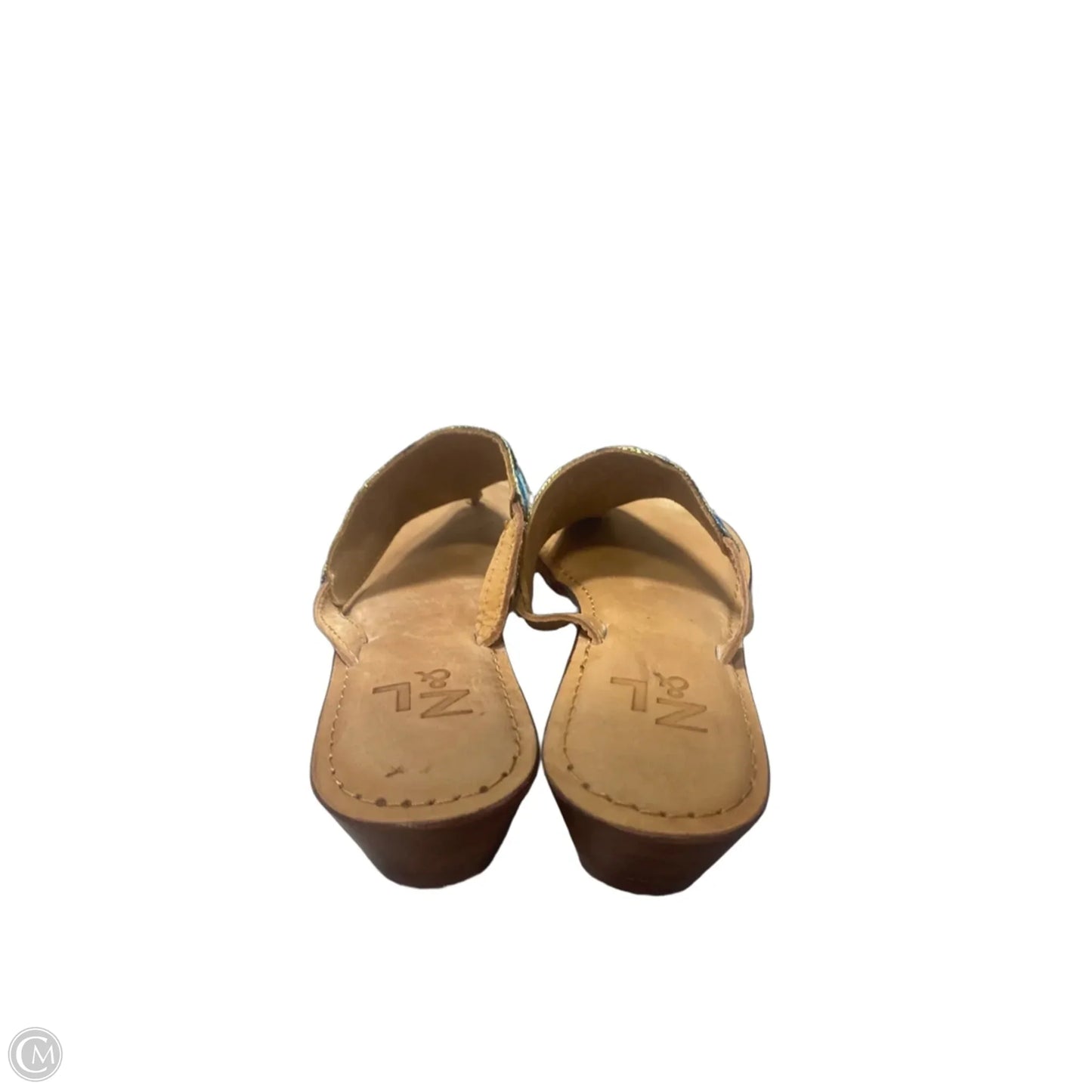 Sandals Flip Flops By Clothes Mentor In Blue & Green, Size: 9.5