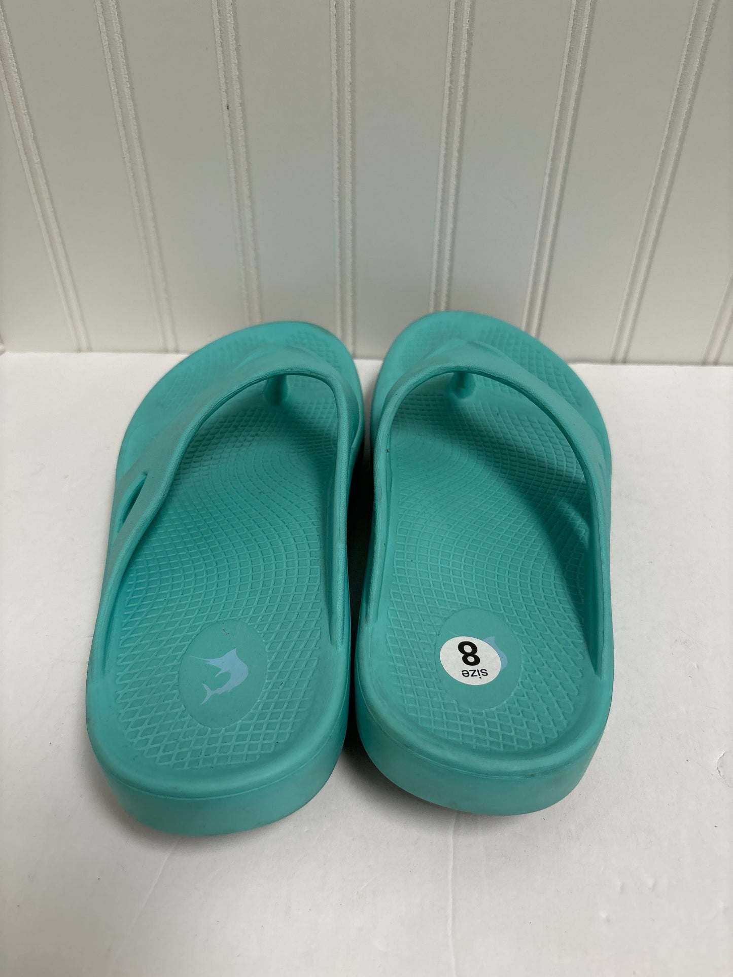 Aqua Sandals Flip Flops Clothes Mentor, Size 9