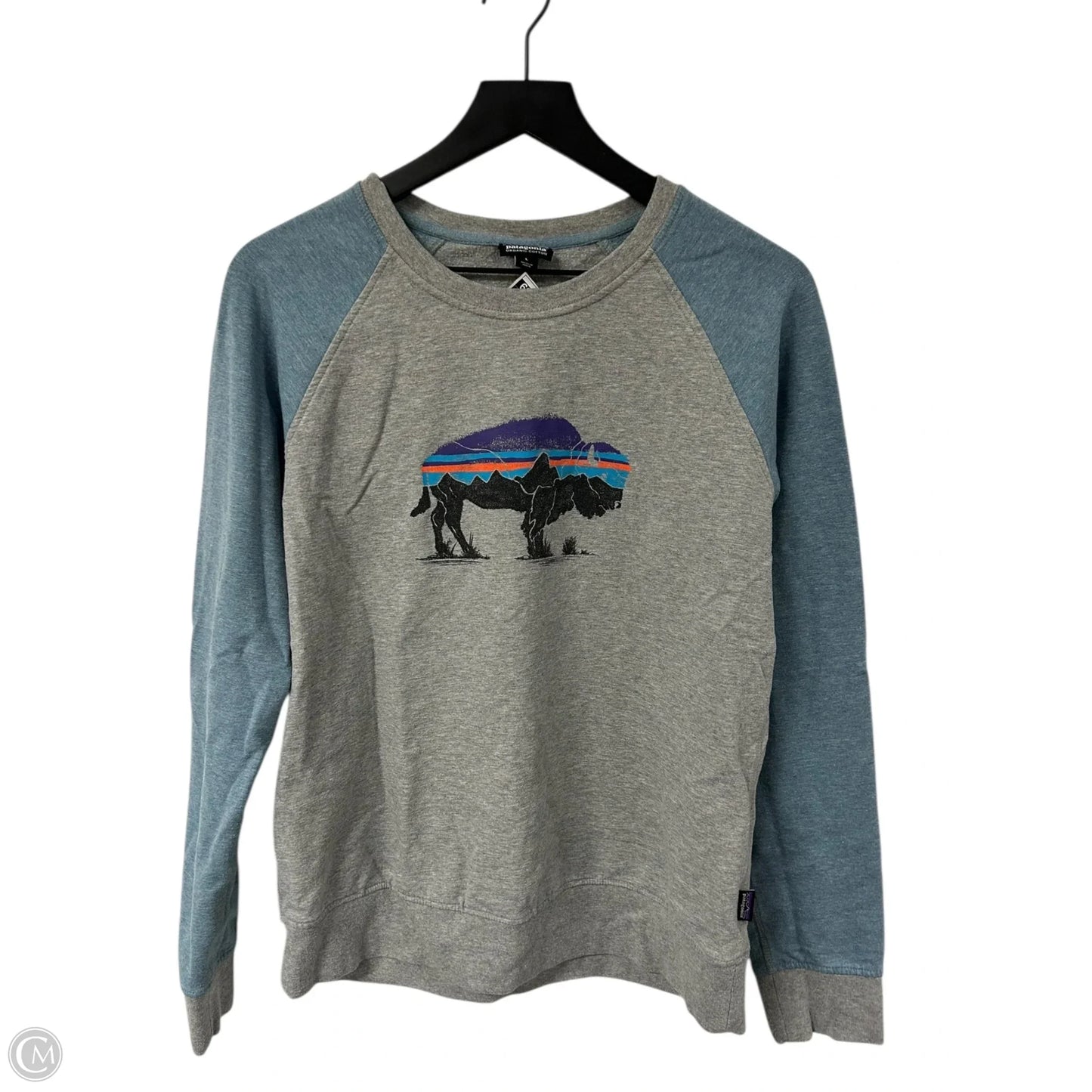 Sweatshirt Crewneck By Patagonia In Blue & Grey, Size: L