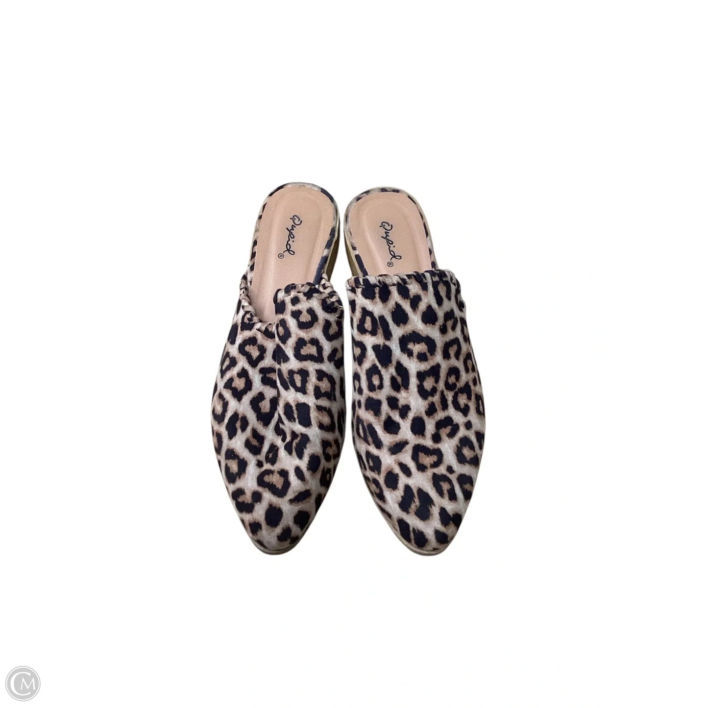 Shoes Flats By Qupid In Leopard Print, Size: 8