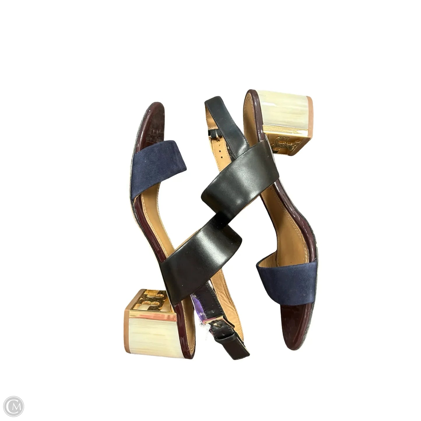 Shoes Designer By Tory Burch In Black & Blue, Size: 7